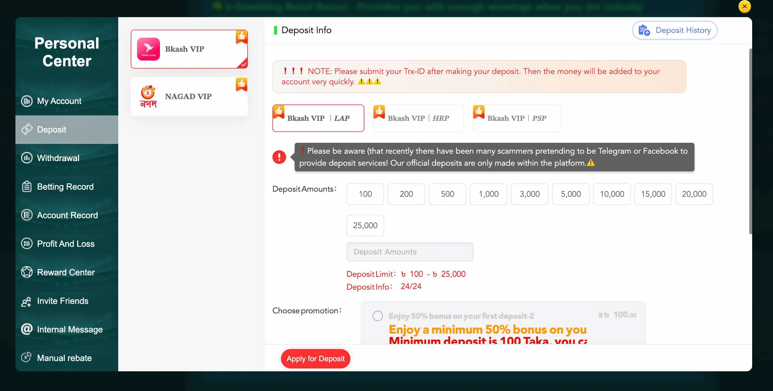 bKash deposit screen EK333