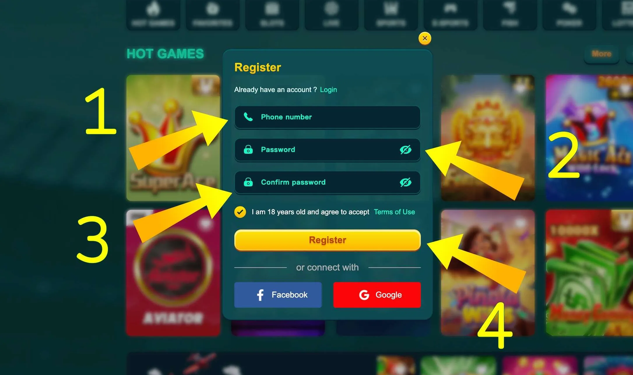 EK333 registration form on screen